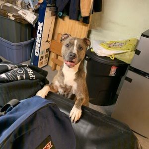 Meet your Posher, Michael